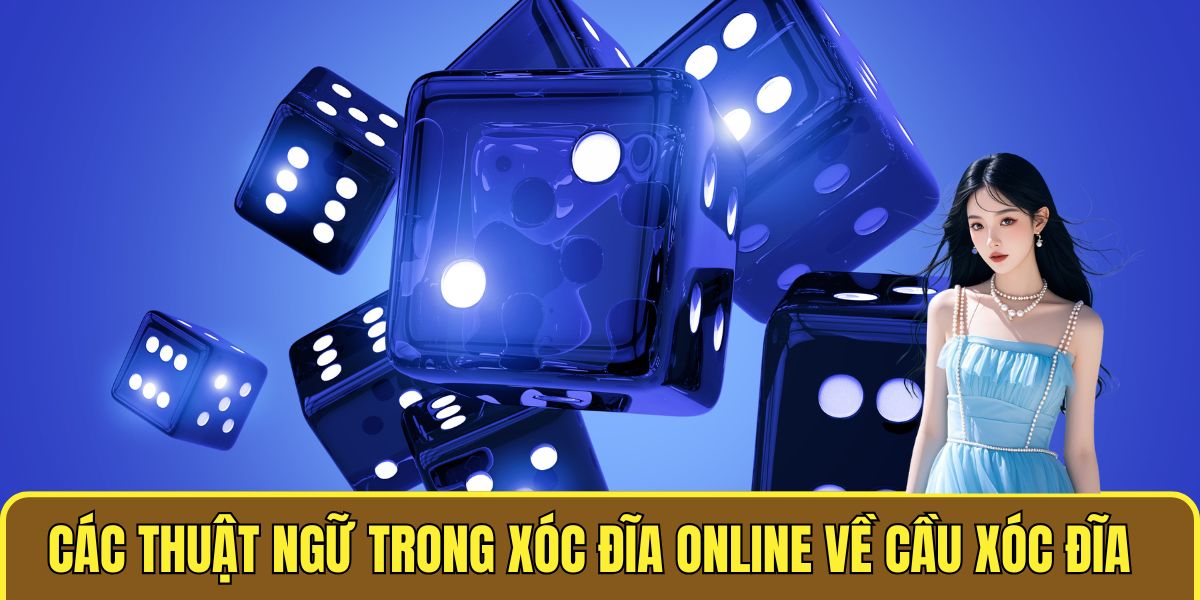 Thuật Ngữ Trong Xóc Đĩa Online - Hiểu Để Chơi Dễ Dàng 3 Các thuật ngữ trong xóc đĩa online về cầu xóc đĩa
