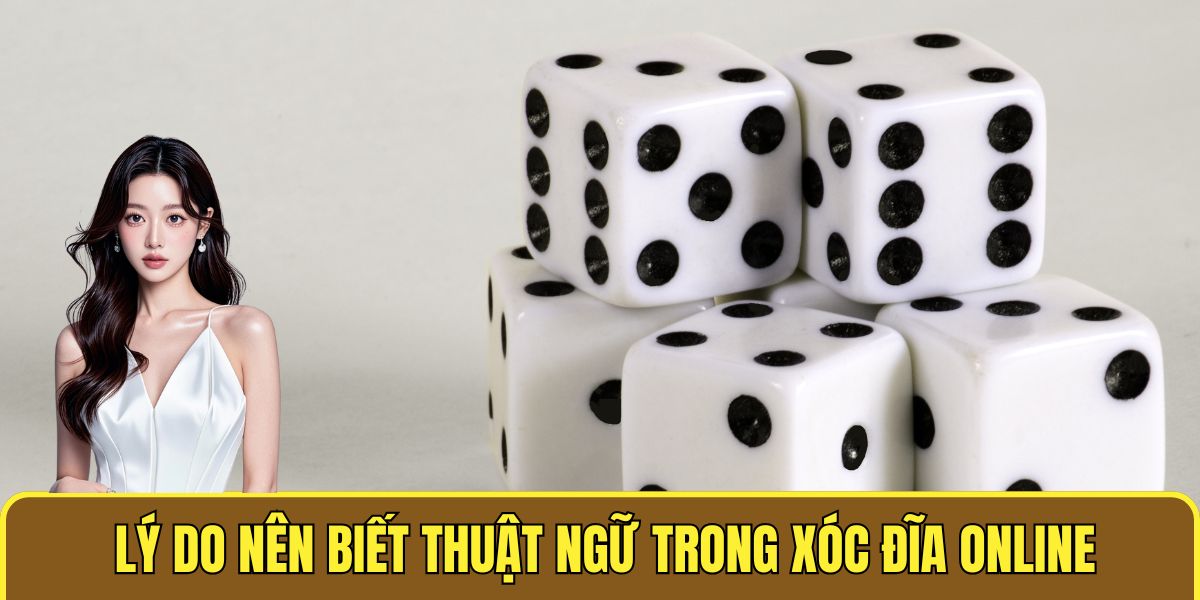 Thuật Ngữ Trong Xóc Đĩa Online - Hiểu Để Chơi Dễ Dàng 1 Lý do nên biết thuật ngữ trong xóc đĩa online