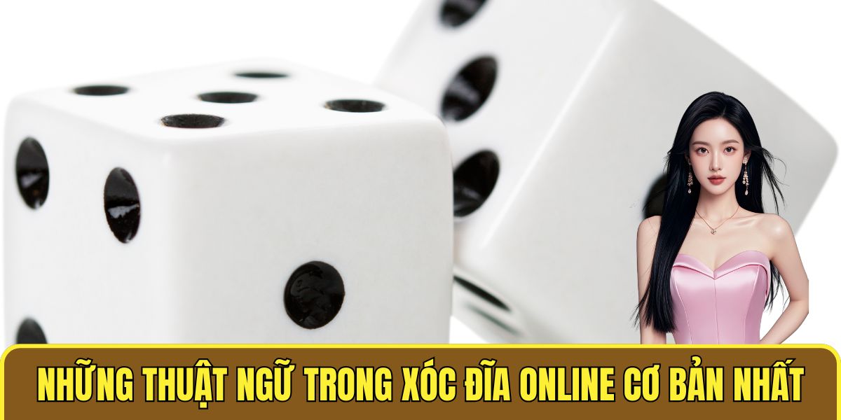 Thuật Ngữ Trong Xóc Đĩa Online - Hiểu Để Chơi Dễ Dàng 2 Những thuật ngữ trong xóc đĩa online cơ bản nhất