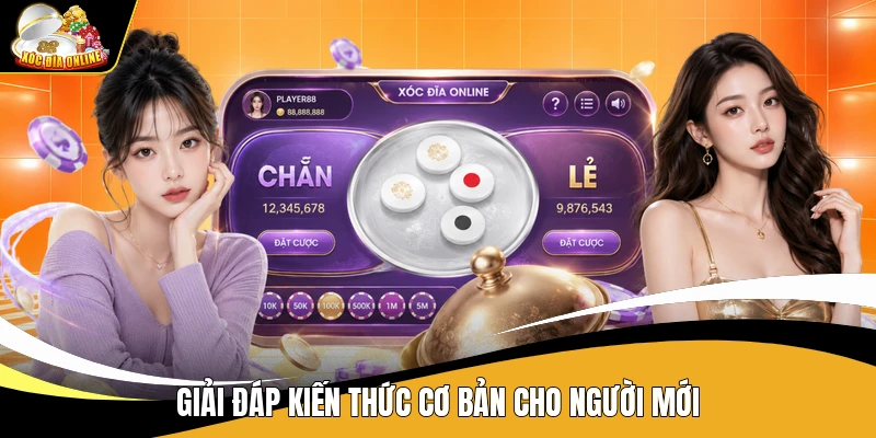 Câu Hỏi Thường Gặp Xóc Đĩa - Giải Đáp Trò Chơi Cho Người Mới 2 Giải đáp kiến thức cơ bản cho người mới