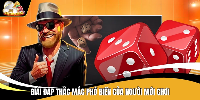 Giải đáp thắc mắc phổ biến của người mới chơi Xóc Đĩa